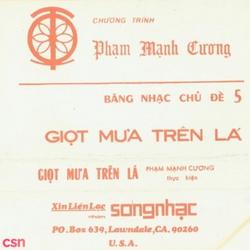 Giọt Mưa Trên Lá (Pre 75) - Various Artists