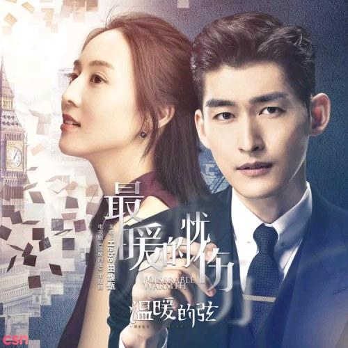 Nỗi Đau Thương Ấm Áp Nhất (最暖的忧伤) (Single) - Điền Phức Chân