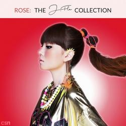 Rose - J.Fla