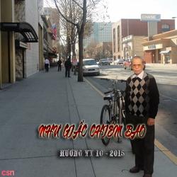 Hương Vỹ 10 - Như giấc chiêm bao - Hương Vỹ