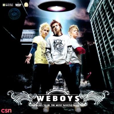 Born To Be The Most Wanted Boys - Weboys