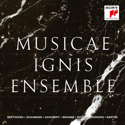 Musicae - Ignis Ensemble