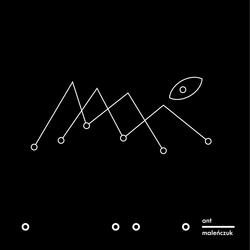 Ant - Maciej Malenczuk