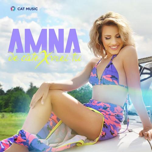 De Cate X Vrei Tu (Single) - Amna