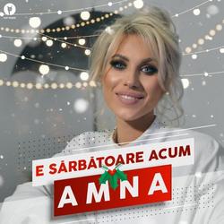 E Sărbătoare Acum (Single) - Amna