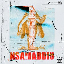Nsamaddiu - Nebbia