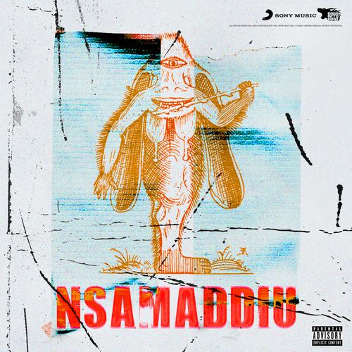 Nsamaddiu - Nebbia