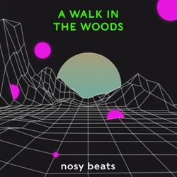 A Walk In The Woods - nosy beats