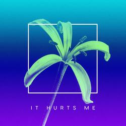 It Hurts Me (Single) - Matroos