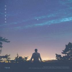 Illusion (Single)﻿ - Tess