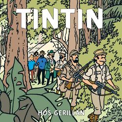 Tintin hos gerillan - Tintin