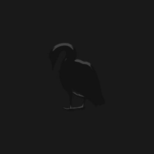 HANNU - Musta Hanhi