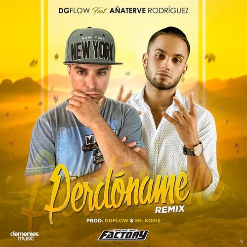 Perdoname (Remix) - DG Flow