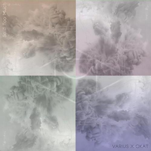Said Too Much - Varius