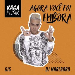 Agora Você Foi Embora - MC G15