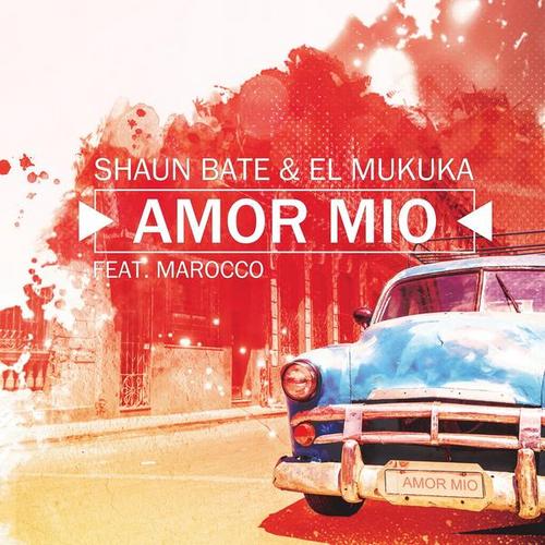 Amor Mio - Shaun Bate