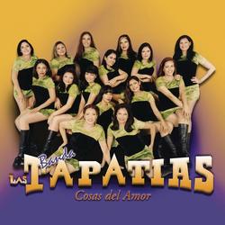 Cosas del Amor - Banda las Tapatías