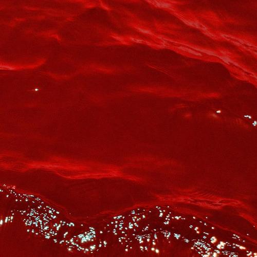 Bloody (Single) - Private Channel