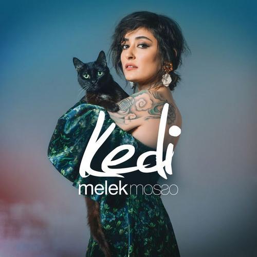Kedi (Single) - Melek Mosso