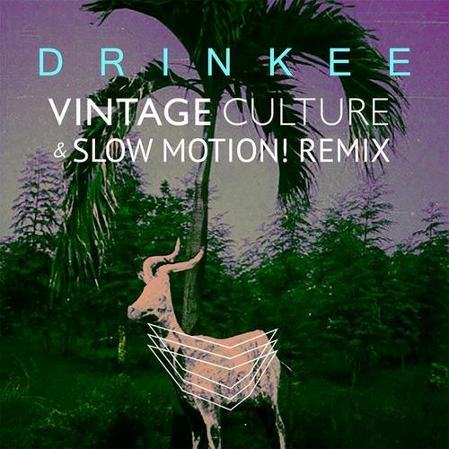 Drinkee (Vintage Culture & Slow Motion! Remix) - Sofi Tukker