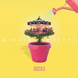 Follow The Light (Single) - Docile