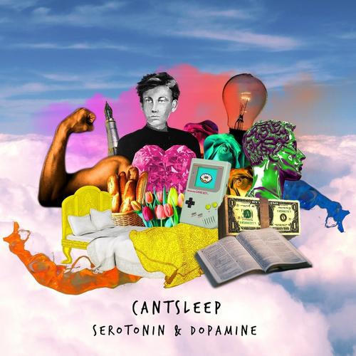 Serotonin And Dopamine (Single) - Cant Sleep