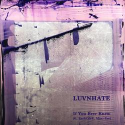 If You Ever Knew (Single) - Luvnhate