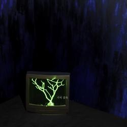 Memory Prison (Mini Album) - Bibii