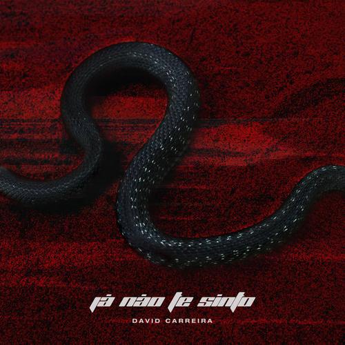 Já Não Te Sinto (Single) - David Carreira