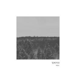 Be Forgotten (Single) - NIDA