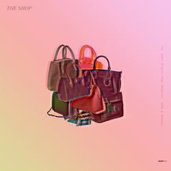 The Shop (Single) - Mighty Fine