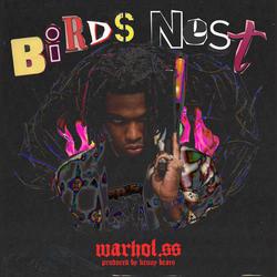 Birds Nest (Single) - Warhol.SS