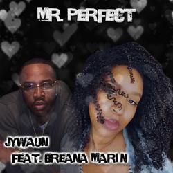 Mr. Perfect (Single) - Jywaun