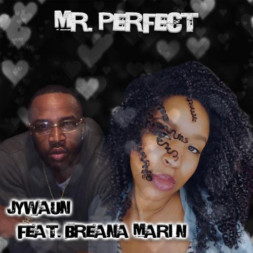 Mr. Perfect (Single) - Jywaun