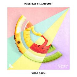 Wide Open (Single) - Ian Gott