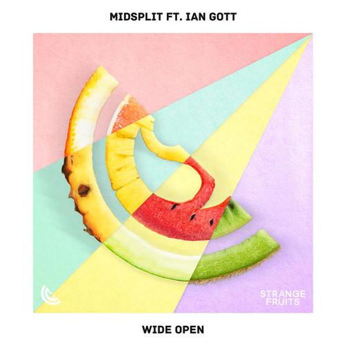 Wide Open (Single) - Ian Gott