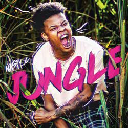 Jungle (Single) - Nasty C