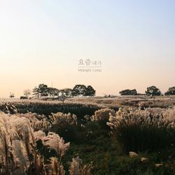 These Days I (Single) - Midnight Lamp