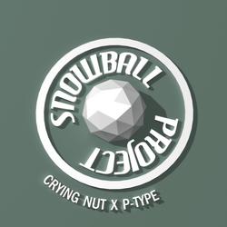 Here We Stand Vol.3 - Crying Nut -  P-Type