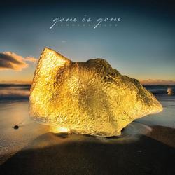 Echolocation - Gone Is Gone