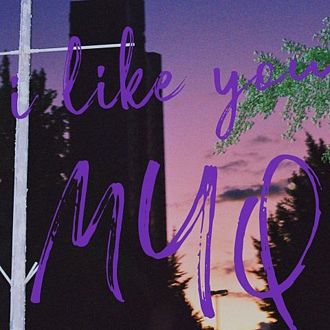 I Like You (Single) - My Q