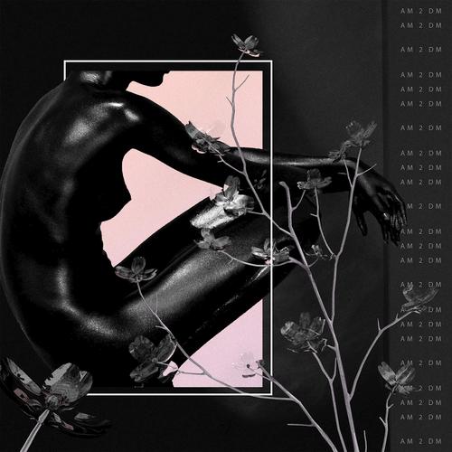 Am 2 Dm (Single) - Swims