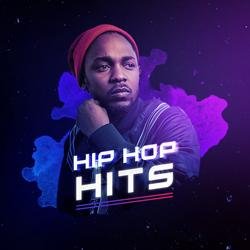 Hip Hop Hits - Various Artists