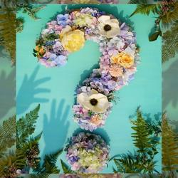 ? (Question Mark) (Single) - Yonko
