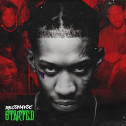 Started - RecoHavoc