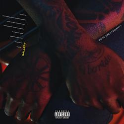 Gallery (Single) - 