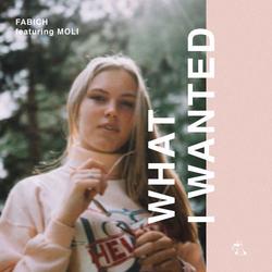 What I Wanted (Single) - Fabich