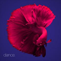 Dance. (Single) - David Pfeffer