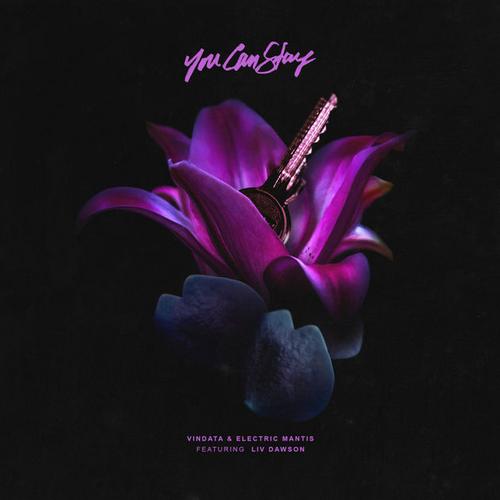 You Can Stay (Single) - Electric Mantis
