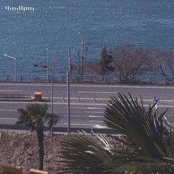 Here, Jeju Island (Single) - Thesomebodypain